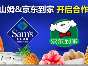 家用電器銷售 動(dòng)點(diǎn)科技在數(shù)字化浪潮中的布局與機(jī)遇