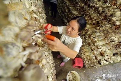 福州區(qū)縣經(jīng)濟(jì)實(shí)力新格局 黑馬崛起，食用農(nóng)產(chǎn)品零售成關(guān)鍵增長(zhǎng)極