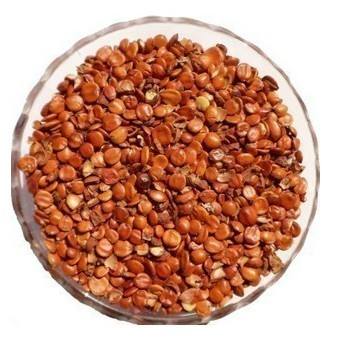 探索棗仁的多重價(jià)值 從傳統(tǒng)藥材到現(xiàn)代市場(chǎng)